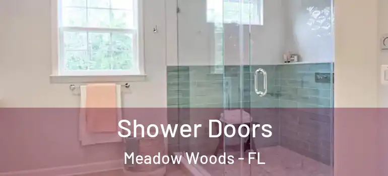  Shower Doors Meadow Woods - FL