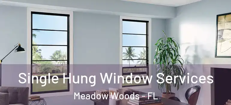  Single Hung Window Services Meadow Woods - FL