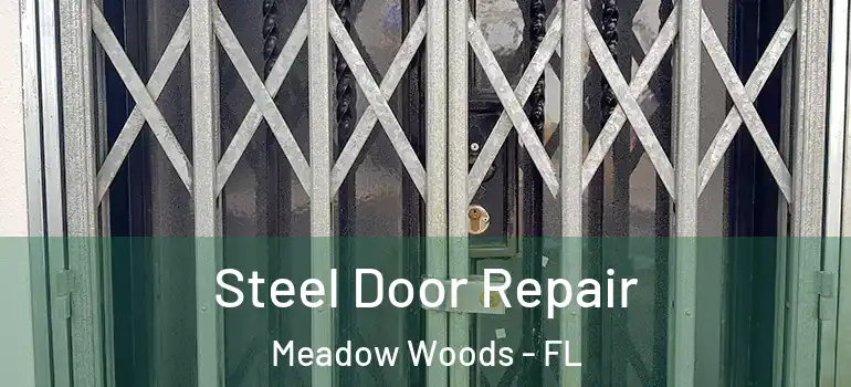  Steel Door Repair Meadow Woods - FL
