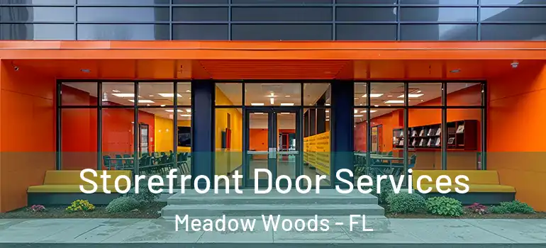  Storefront Door Services Meadow Woods - FL