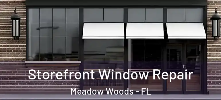  Storefront Window Repair Meadow Woods - FL