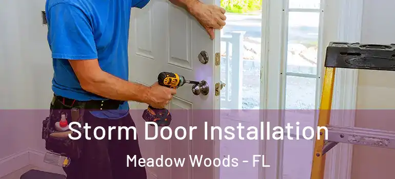  Storm Door Installation Meadow Woods - FL