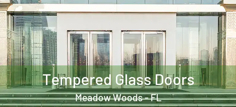  Tempered Glass Doors Meadow Woods - FL