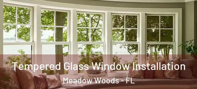  Tempered Glass Window Installation Meadow Woods - FL