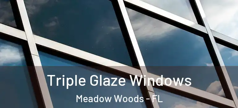  Triple Glaze Windows Meadow Woods - FL