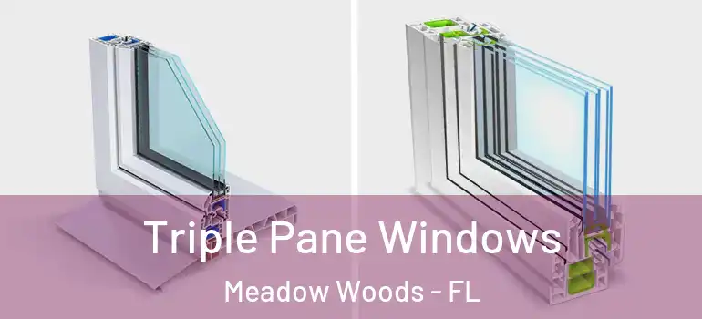  Triple Pane Windows Meadow Woods - FL