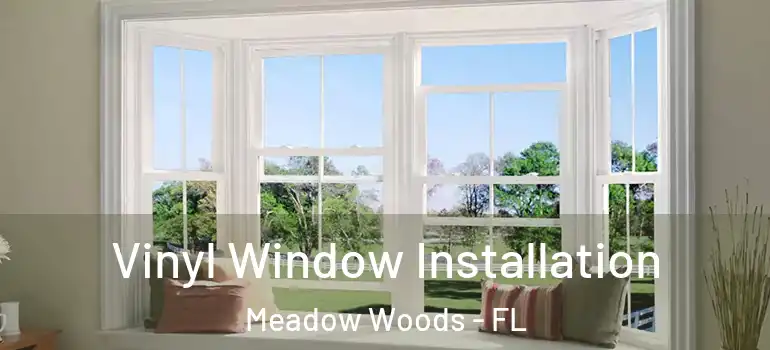  Vinyl Window Installation Meadow Woods - FL