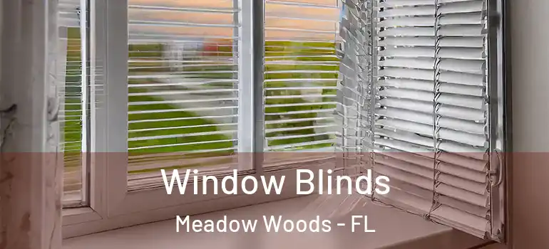 Window Blinds Meadow Woods - FL