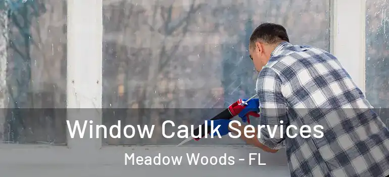  Window Caulk Services Meadow Woods - FL