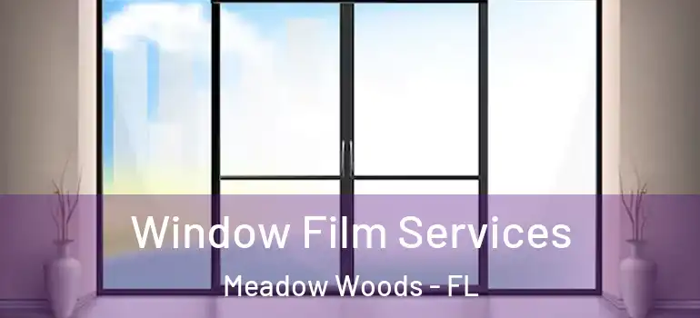  Window Film Services Meadow Woods - FL