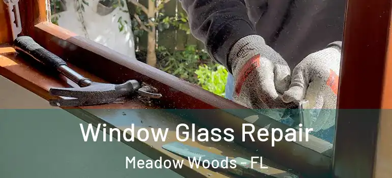  Window Glass Repair Meadow Woods - FL