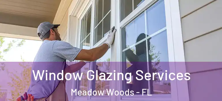  Window Glazing Services Meadow Woods - FL