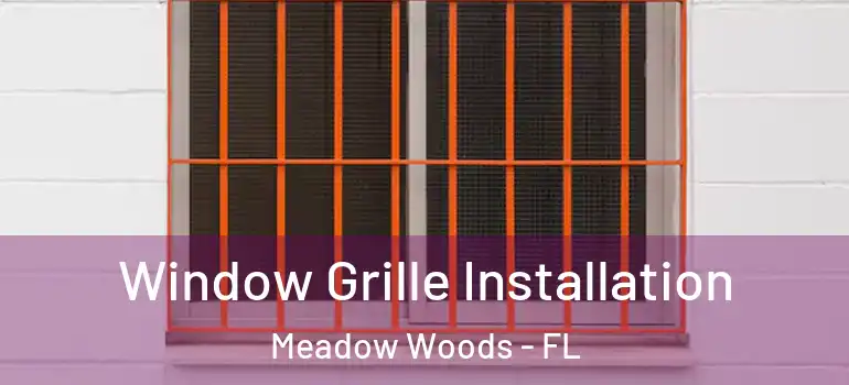  Window Grille Installation Meadow Woods - FL