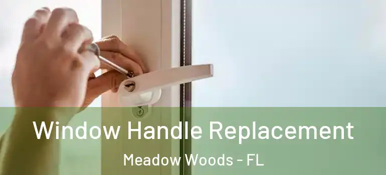 Window Handle Replacement Meadow Woods - FL