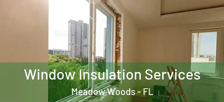  Window Insulation Services Meadow Woods - FL