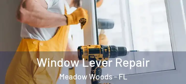  Window Lever Repair Meadow Woods - FL