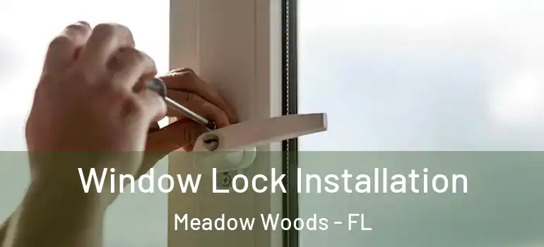  Window Lock Installation Meadow Woods - FL