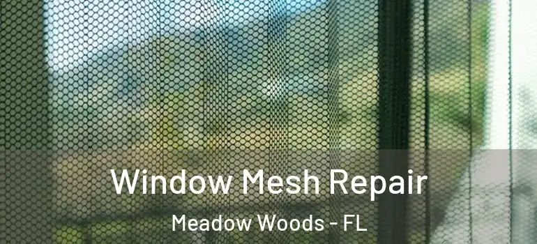  Window Mesh Repair Meadow Woods - FL