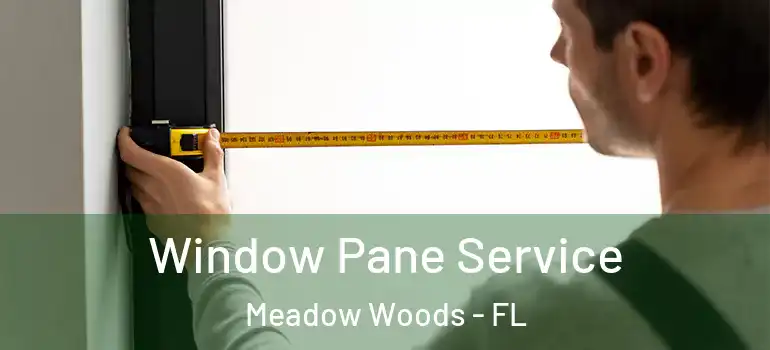  Window Pane Service Meadow Woods - FL