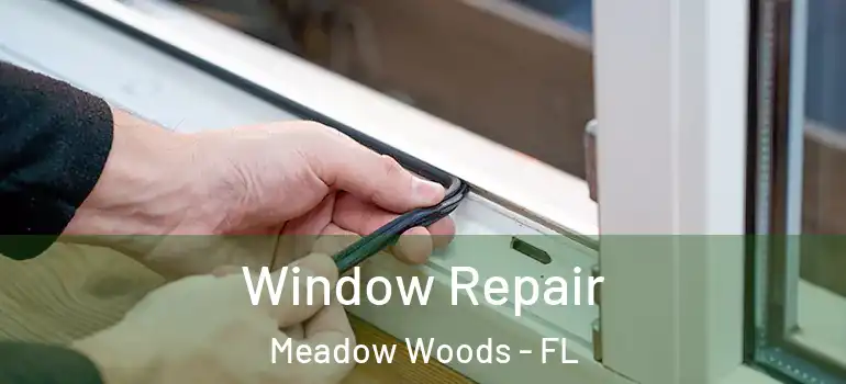  Window Repair Meadow Woods - FL