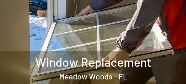  Window Replacement Meadow Woods - FL