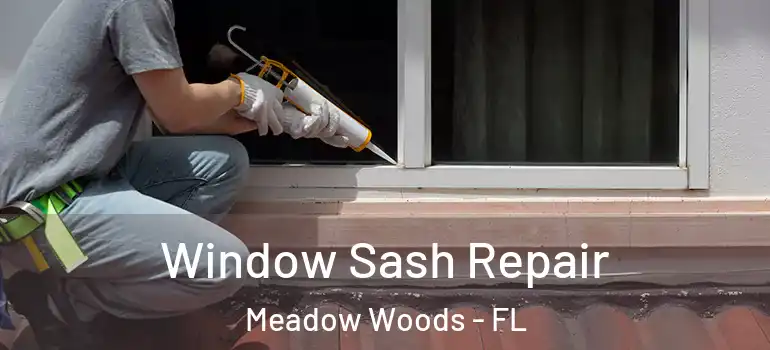  Window Sash Repair Meadow Woods - FL