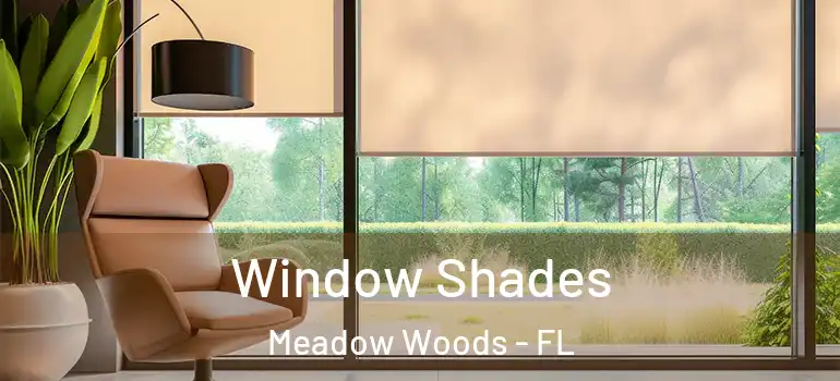  Window Shades Meadow Woods - FL