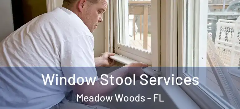  Window Stool Services Meadow Woods - FL
