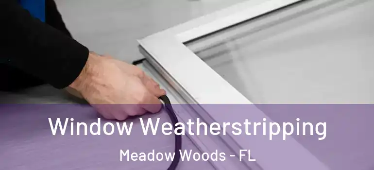  Window Weatherstripping Meadow Woods - FL