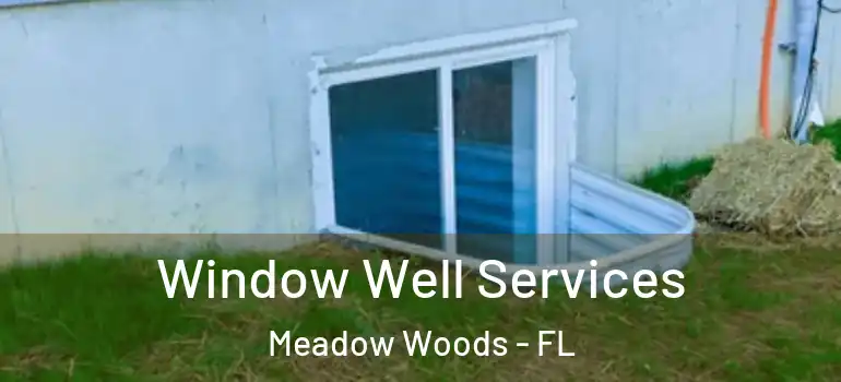  Window Well Services Meadow Woods - FL
