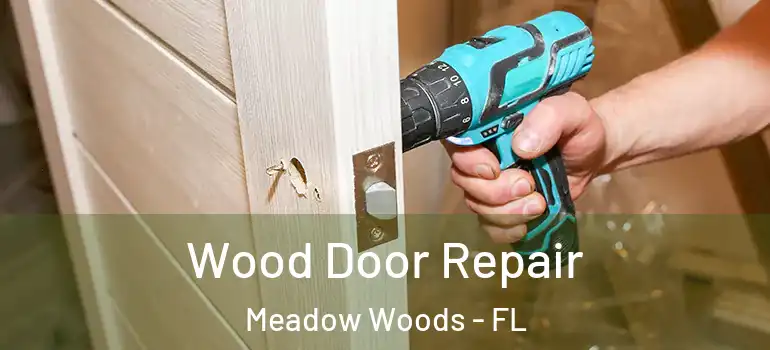  Wood Door Repair Meadow Woods - FL